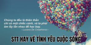 Stt Hay Về Ngực Lép: Tổng Hợp Status Hài Hước, Tự Tin Và Đồng Cảm
